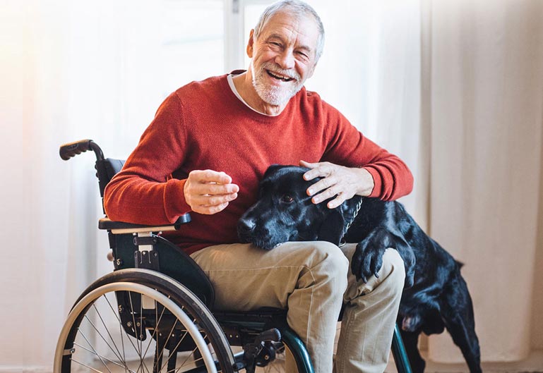 Elderly man sitting in wheelchair accompanied by a dog